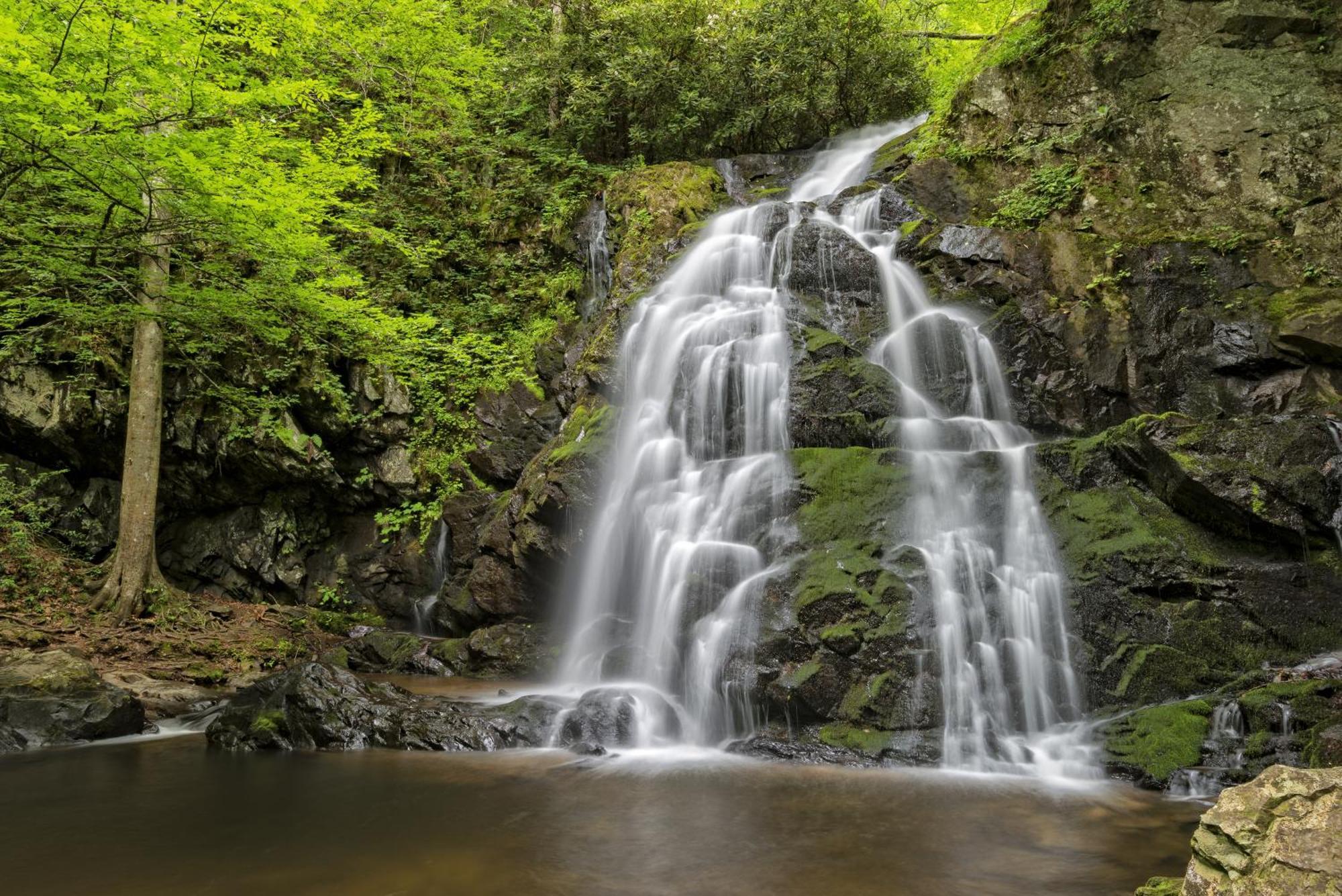 Bear Den, Hot Tub, 1089 Of Free Attraction Tickets For Each Paid Day, Dollywood And More! Sevierville Ngoại thất bức ảnh