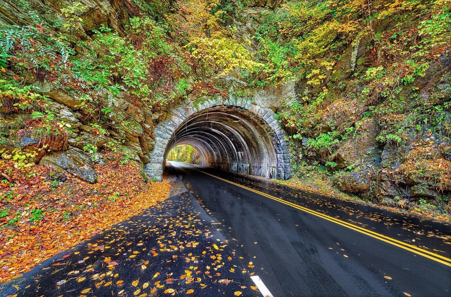 Bear Den, Hot Tub, 1089 Of Free Attraction Tickets For Each Paid Day, Dollywood And More! Sevierville Ngoại thất bức ảnh
